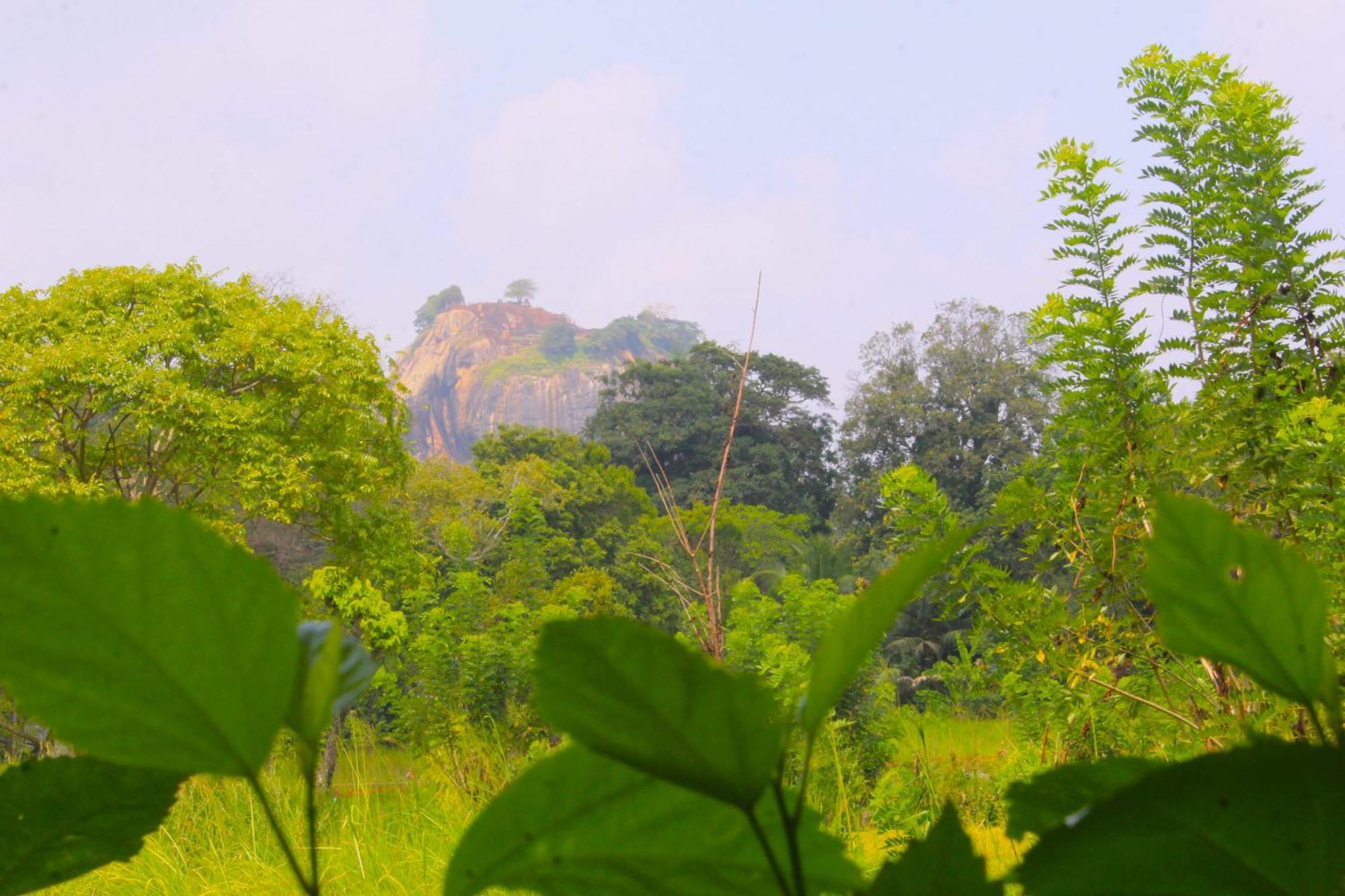 Sigiriya Palace View Zewnętrze zdjęcie